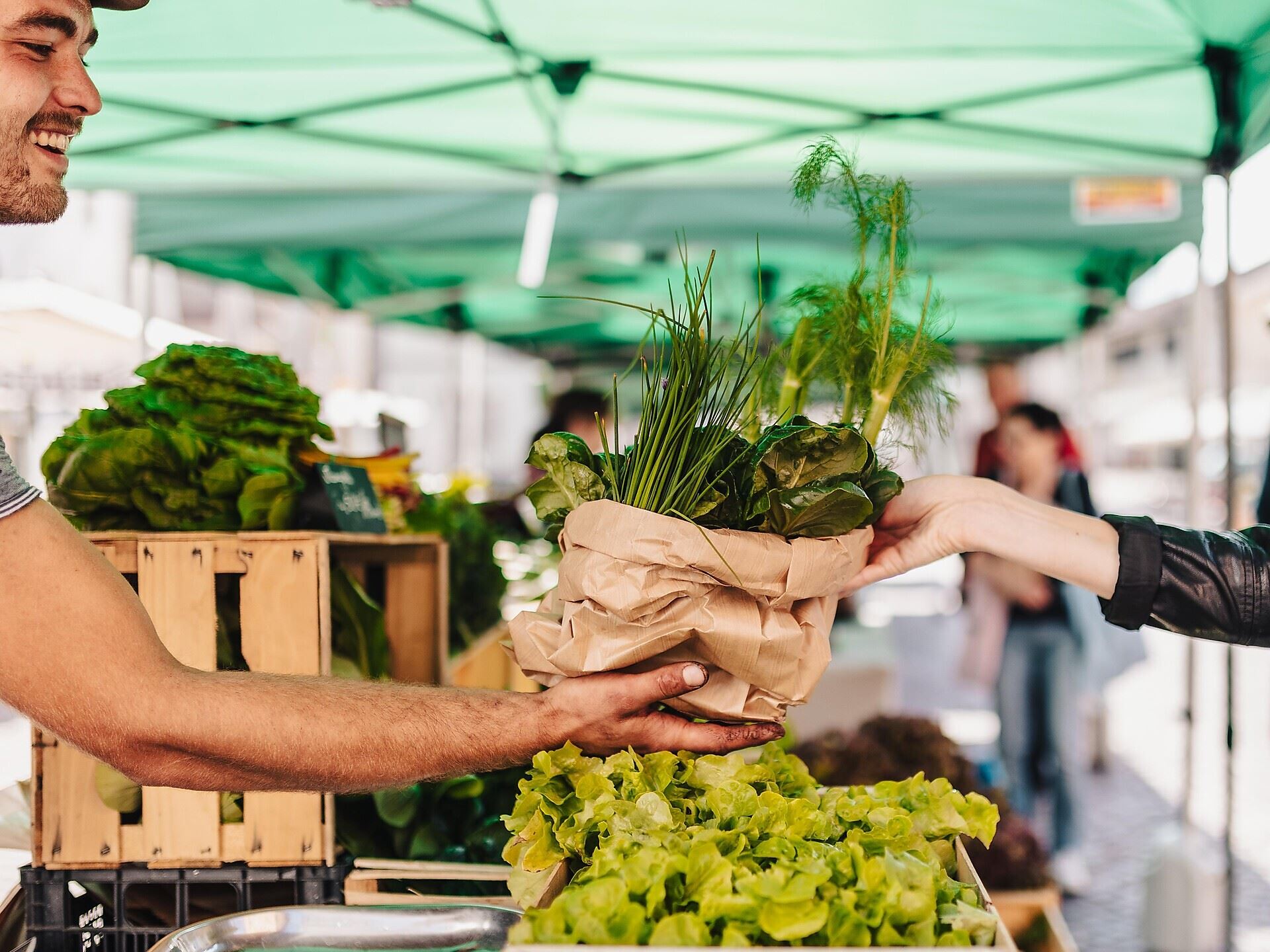 Farmer's Market