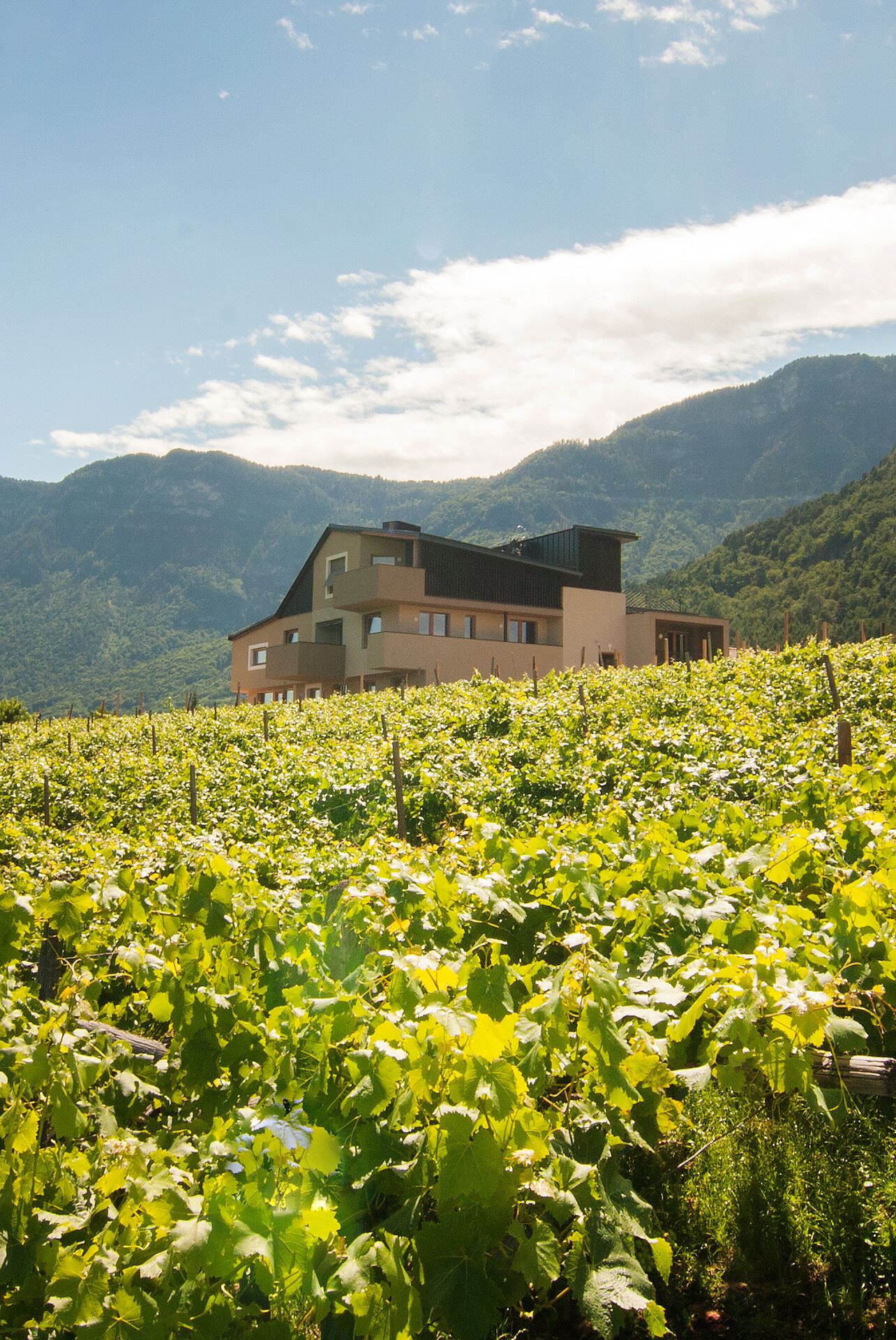 Biobauernhof St. Quirinus