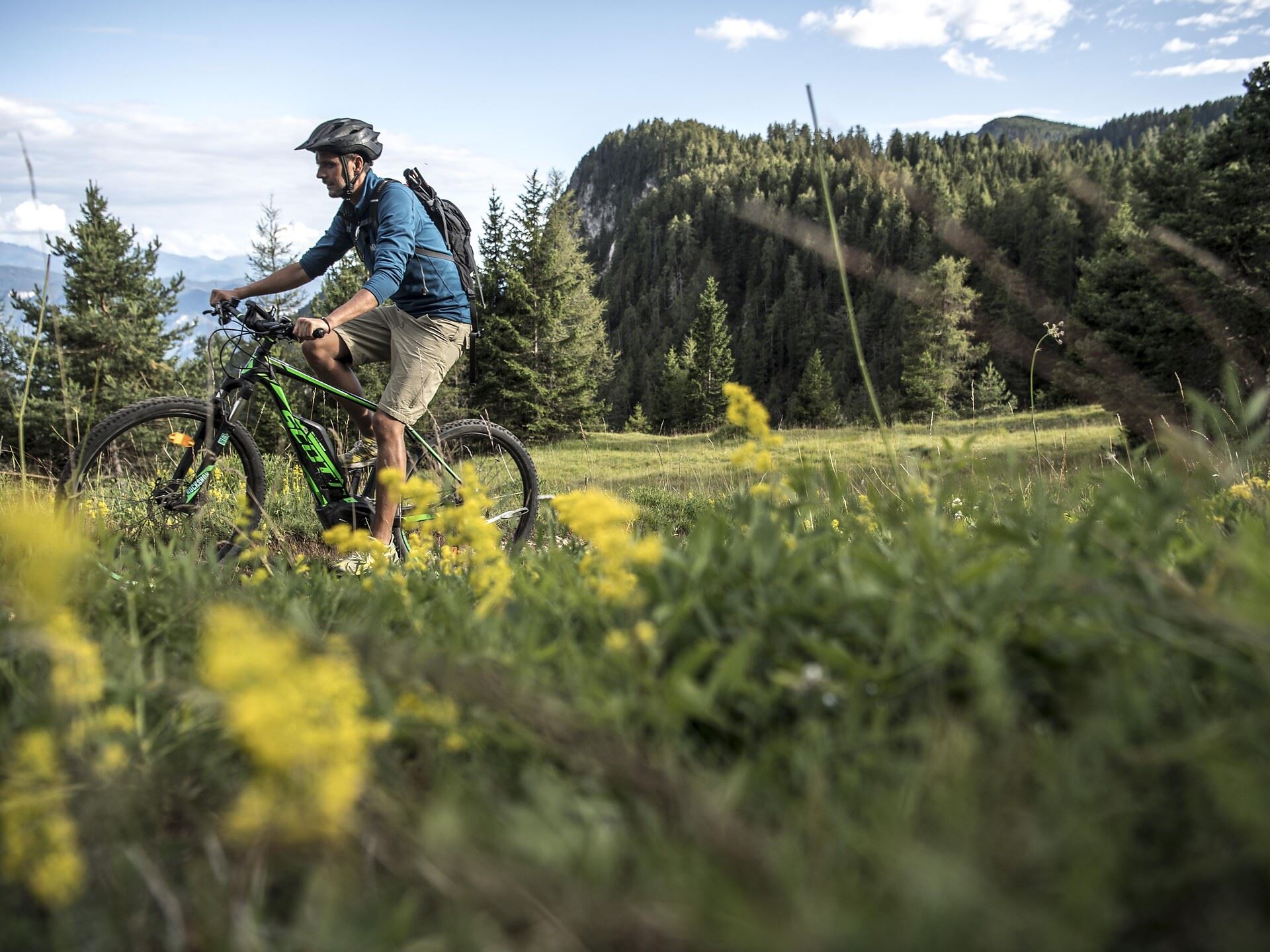 schutzblech vorne mountainbike TOPEAK Defender XC1 Front Fahrrad MTB Mountain Bike Spritzschutz Vorderrad 36-45mm, 15200062 Sport & Freizeit Farbe:Maori Blackberry whizzy Fahrradschloss 1.0 – plushes